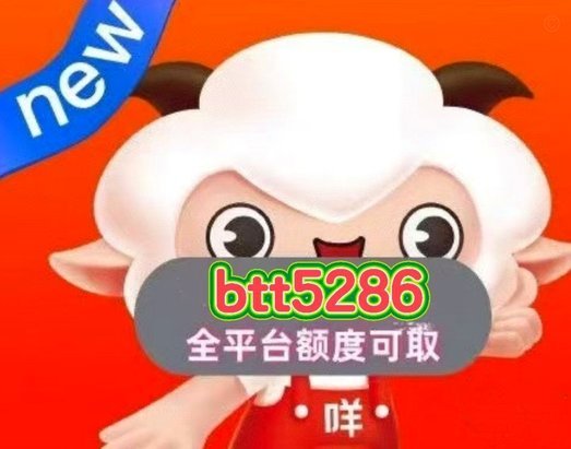 羊小咩购物额度的高效运用指南