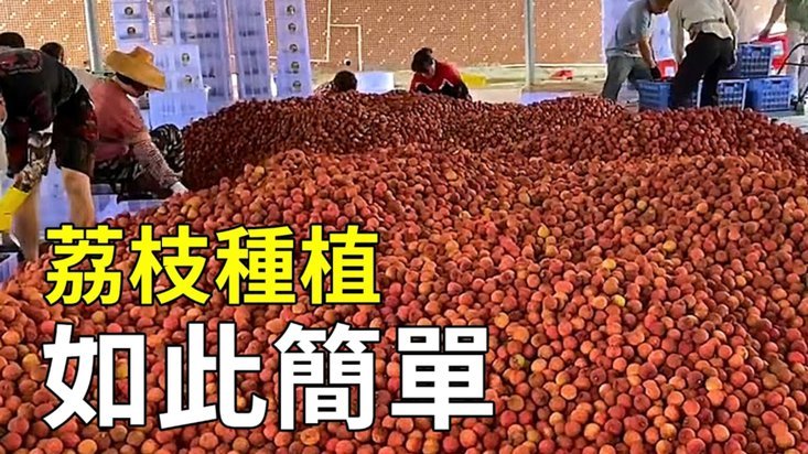 便荔卡15000额度转换方法