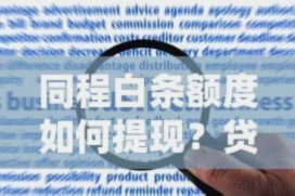 白条额度转借：可行性与风险