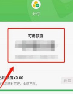 分付：让支付更便捷的安全新选择