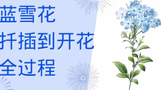 携程拿去花取现方法