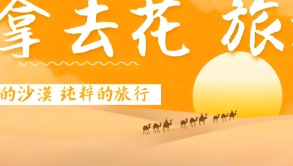 拿去花怎么提现金
