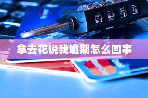 拿去花怎么提现金