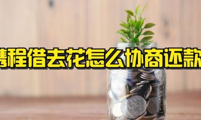 拿去花怎么提现金