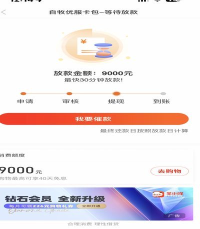 羊小咩有额度