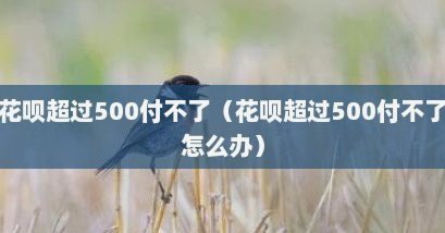 花呗套现500元危害有多大？