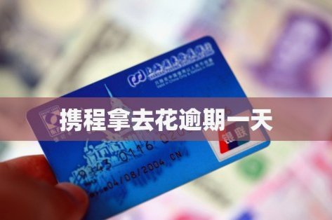 携程拿去花还款怎么操作
