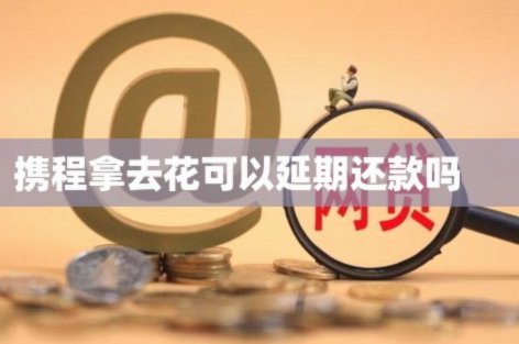 携程拿去花套出来怎么还款