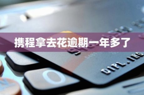 携程拿去花怎么支付