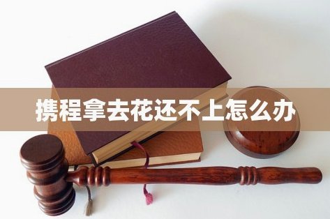 携程拿去花怎么支付