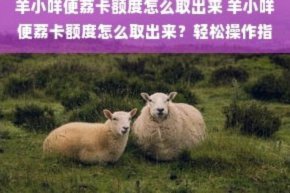 羊小咩怎么提