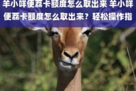 羊小咩怎么提