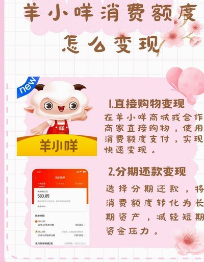 羊小咩取消订单账单还在
