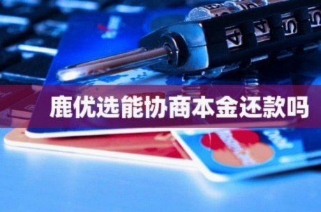鹿优选额度怎么秒到