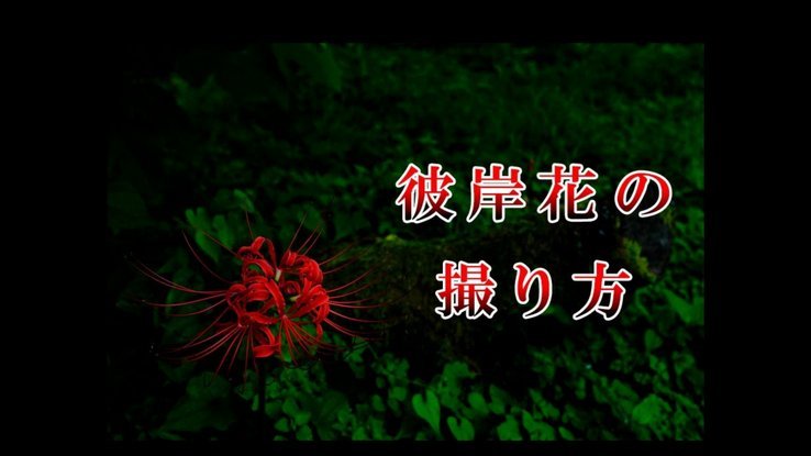花呗异常了？教你快速恢复使用！