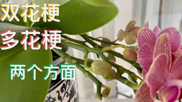 套现花呗平台 套现可靠吗 现在