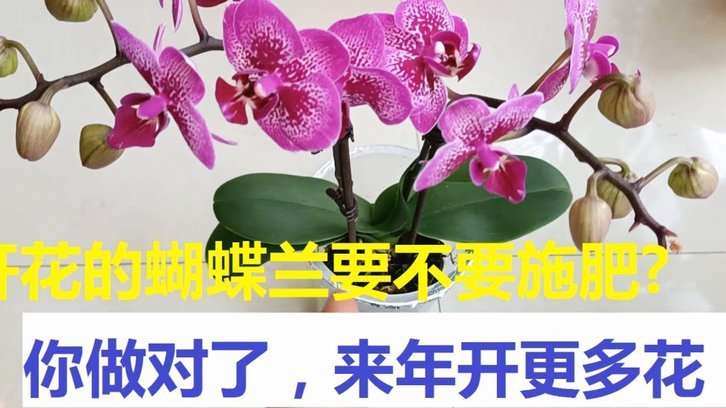 拿去花套现安全吗 现在还有吗