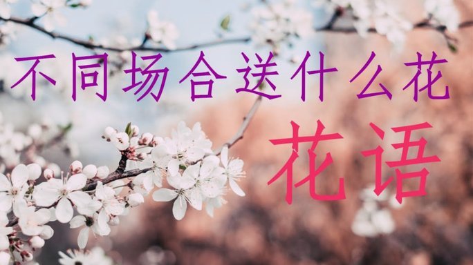 花呗使用平台 怎么还款