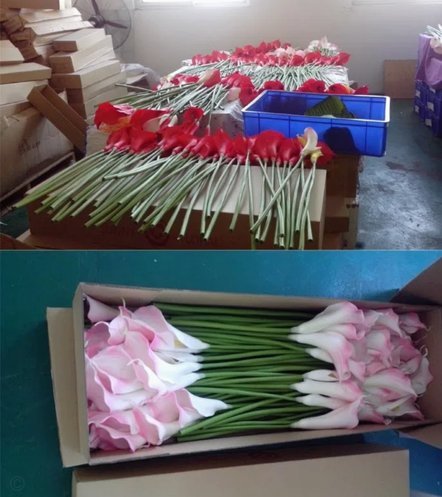 套现花呗平台 现在怎么样