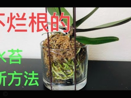 拿去花怎么自己套现