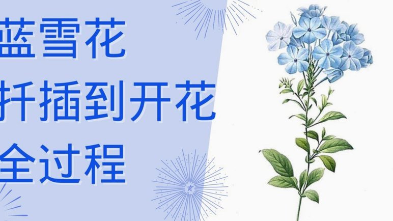 携程拿去花智能积分使用指南