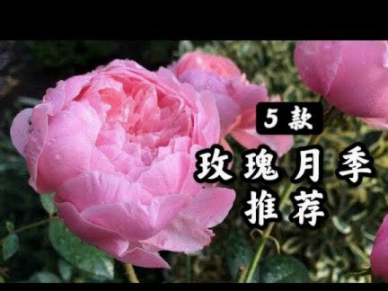 携程的拿去花怎么使用