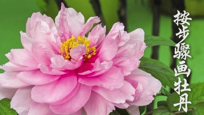 花呗没有商家码也能提现吗？深度解析风险与原理