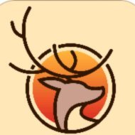 鹿优选哪个公司的