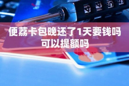 轻松借取便荔卡包全攻略