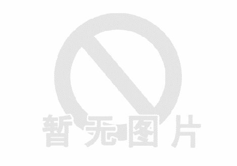 套花呗的机子可靠吗