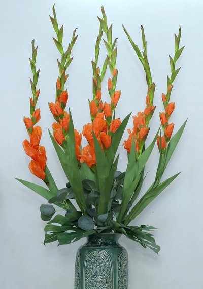 套花呗：违规操作与理性消费间的界线