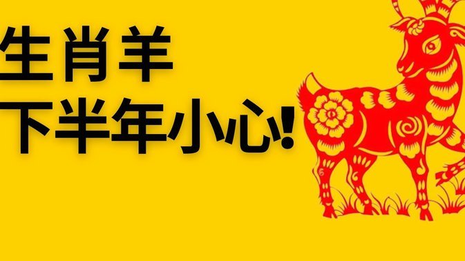 羊小咩是什么平台旗下的