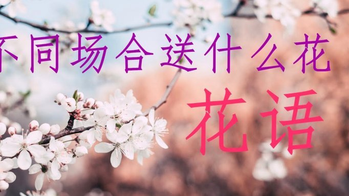 花呗逾期影响有多大