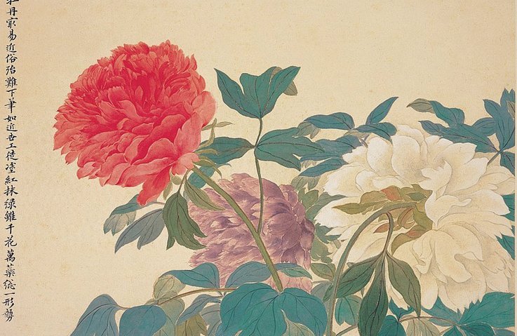 花呗是大平台吗