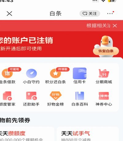 白条现在多少钱一斤