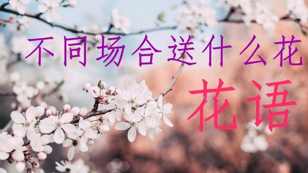 花呗怎么会出现异常