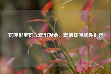 花呗套出现金的风险和后果你一定要知道！