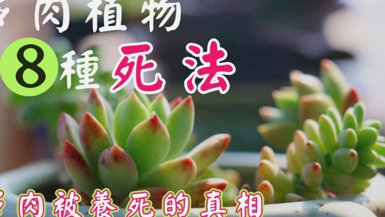花呗出现异常是什么原因