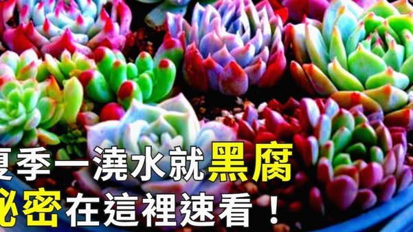 花呗出现异常是什么原因