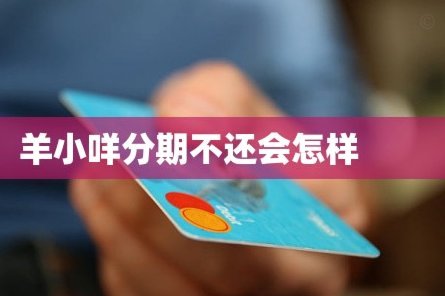 羊小咩贷款还款可否规避？