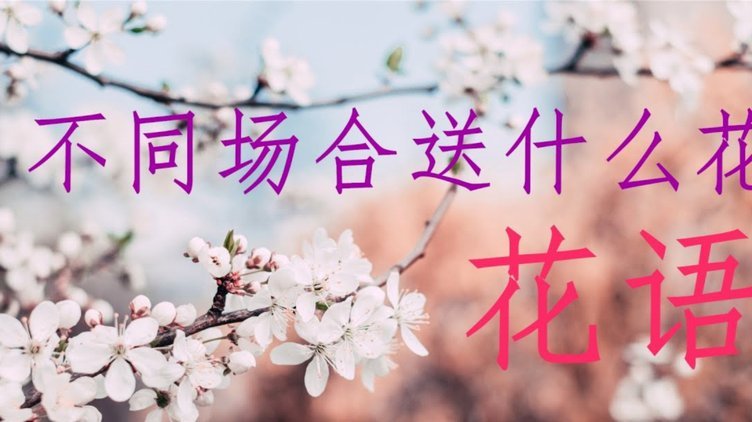 花呗套现：隐藏的高成本与风险