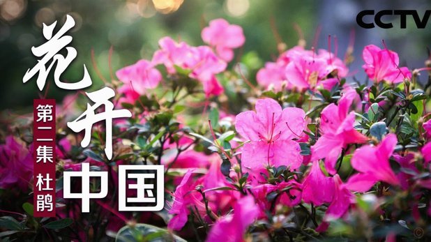 花呗换现金对商家有损害吗