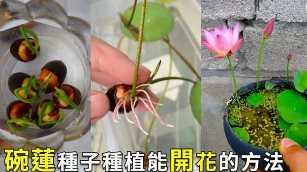 花呗使用异常怎么解决