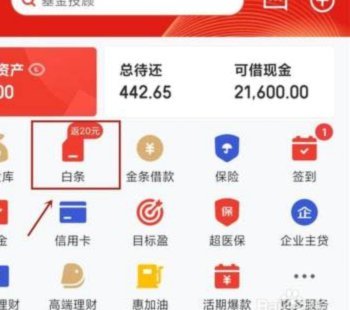 白条怎么借出来现金