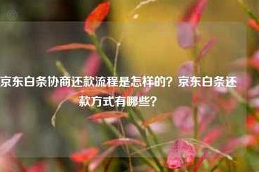 京东白条协商还款可行吗